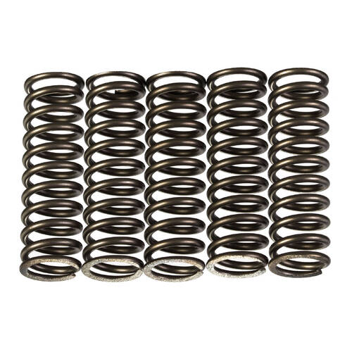Premier Heavy Duty Clutch Springs - CSK223