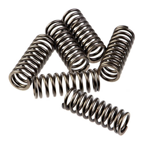 Premier Heavy Duty Clutch Springs - CSK227