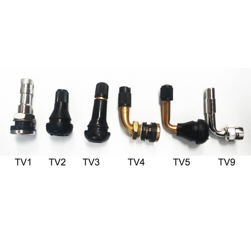 WHITES BOLT IN TYPE TUBELESS VALVE - TV1